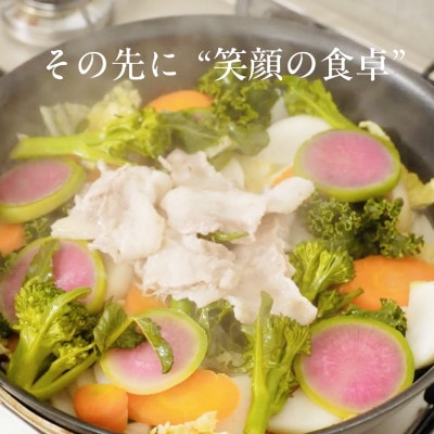 【毎月定期便】しあわせ野菜畑の有機野菜　Lセット　(安心の有機JAS認証　オーガニック野菜)全12回