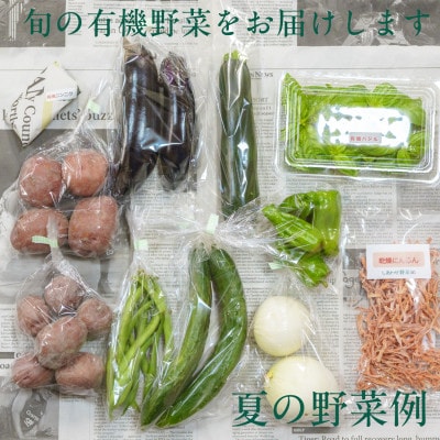 【毎月定期便】しあわせ野菜畑の有機野菜　Lセット　(安心の有機JAS認証　オーガニック野菜)全3回