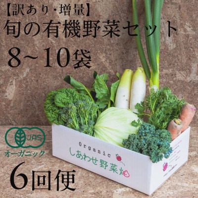 【毎月定期便】しあわせ野菜畑のシェフMセット　(訳あり規格外の有機野菜を一部使用)全6回