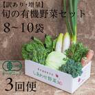 【毎月定期便】しあわせ野菜畑のシェフMセット　(訳あり規格外の有機野菜を一部使用)全3回