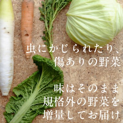 【毎月定期便】しあわせ野菜畑のシェフMセット　(訳あり規格外の有機野菜を一部使用)全3回