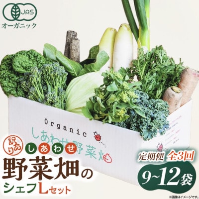 【毎月定期便】しあわせ野菜畑のシェフLセット(訳あり規格外の有機野菜を一部使用)全3回