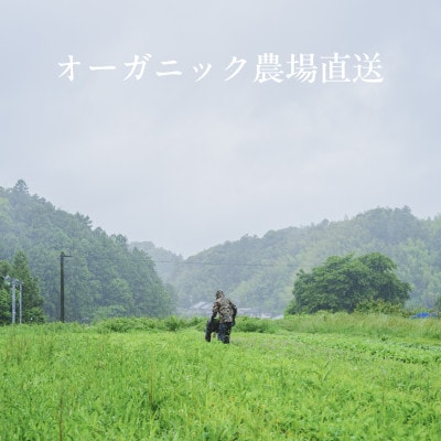 【毎月定期便】しあわせ野菜畑のシェフⅬセット(訳あり規格外の有機野菜を一部使用)全3回