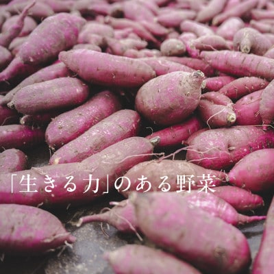 【毎月定期便】しあわせ野菜畑のシェフⅬセット(訳あり規格外の有機野菜を一部使用)全3回