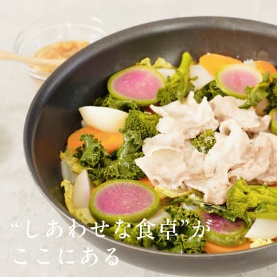 【毎月定期便】しあわせ野菜畑のシェフLセット(訳あり規格外の有機野菜を一部使用)全3回