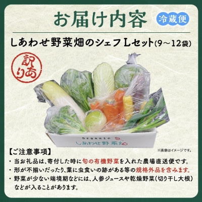 【毎月定期便】しあわせ野菜畑のシェフLセット(訳あり規格外の有機野菜を一部使用)全3回