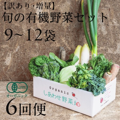 【毎月定期便】しあわせ野菜畑のシェフⅬセット　(訳あり規格外の有機野菜を一部使用)全6回