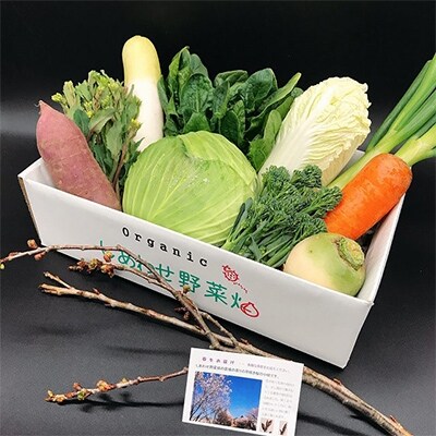2022年1月発送開始『定期便』オーガニック野菜セット(有機JAS認証 有機野菜)全12回