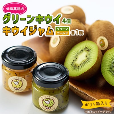 5881　キウイ&ジャム　掛川産グリーンキウイ4個・キウイジャム×2個(ギフト箱入り)