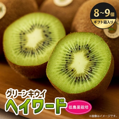 5882　掛川産グリーンキウイ「ヘイワード」8～9個(ギフト箱入り)