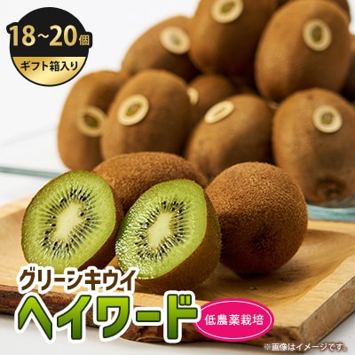 5885　掛川産グリーンキウイ「ヘイワード」18～20個(ギフト箱入り)