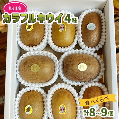 掛川産カラフルキウイ4種8～9個セット期間限定 キウイフルーツカントリーJapan　5883