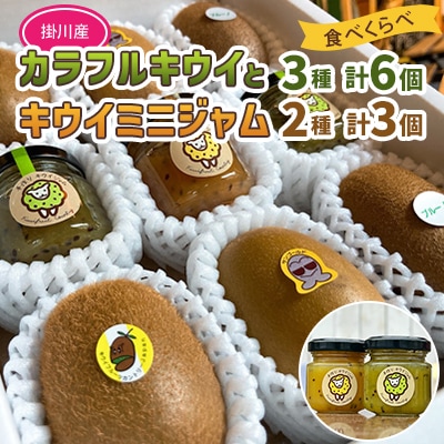 掛川産 カラフルキウイ 3種6個と キウイミニジャム 3個セット キウイフルーツカントリー　5884
