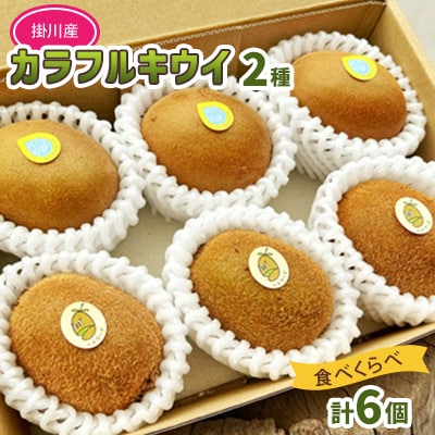 掛川産カラフルキウイ2種6個セット 期間限定キウイフルーツカントリーJapan　5880