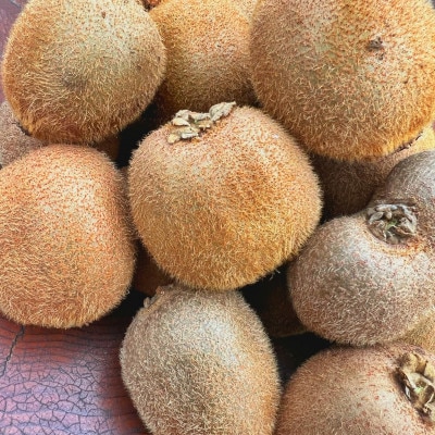 農園直送!訳アリキウイフルーツ2kg～2.4kg(24個～30個)