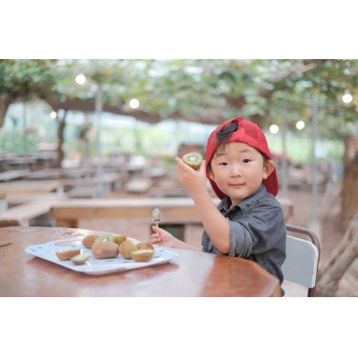 農園直送!訳アリキウイフルーツ2kg～2.4kg(24個～30個)