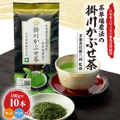 日本茶AWARD審査員奨励賞! 世界農業遺産認定　茶草場農法の掛川かぶせ茶