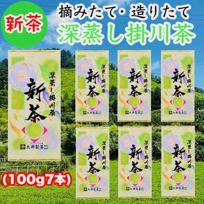 【2026年5月下旬より順次発送】新茶　深蒸し掛川茶　旬の香り・味をお届けします。100g×7本