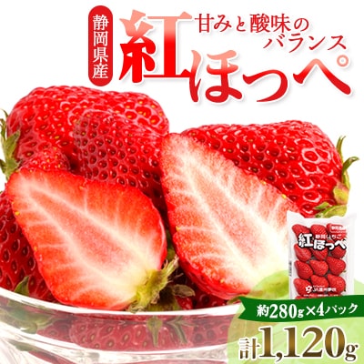 静岡県掛川市産　ミズノ農園の完熟いちご　『紅ほっぺ』約280g×4パック