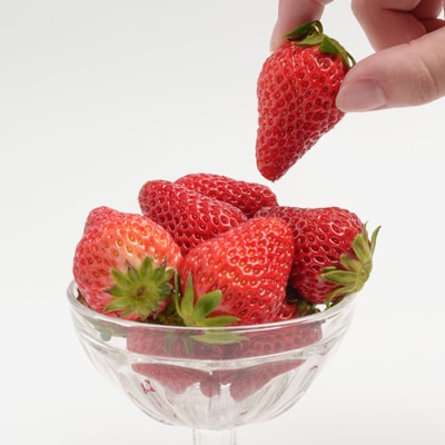 静岡県掛川市産　ミズノ農園の完熟いちご　『紅ほっぺ』約280g×4パック