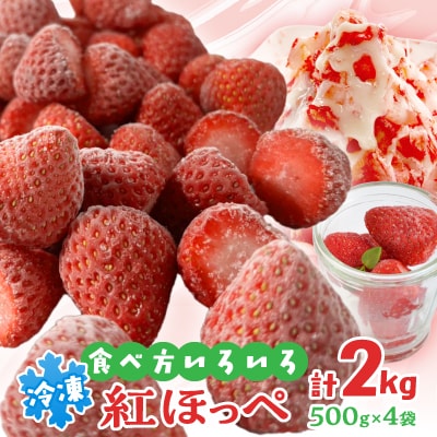 掛川産『ミズノ農園の完熟冷凍紅ほっぺ』500g×4袋