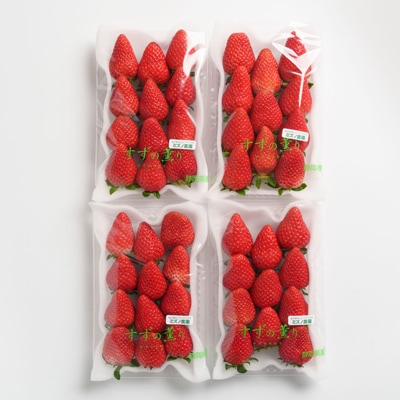 静岡県掛川市産　ミズノ農園の完熟いちご「すずの薫り」　約280g×4パック