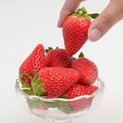 静岡県掛川市産　ミズノ農園の完熟いちご「すずの薫り」　約280g×4パック