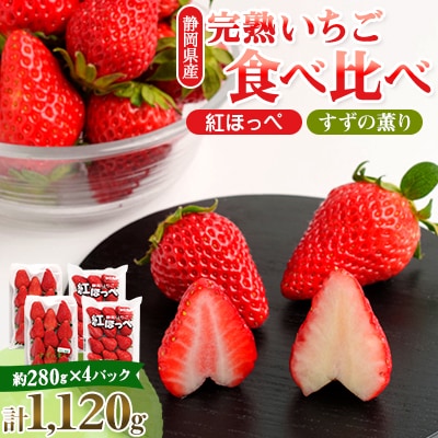 静岡県掛川市産　ミズノ農園の完熟いちご「紅ほっぺ」「すずの薫り」2種各2パック食べ比べセット