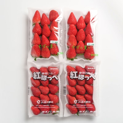 静岡県掛川市産　ミズノ農園の完熟いちご「紅ほっぺ」「すずの薫り」2種各2パック食べ比べセット