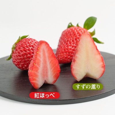 静岡県掛川市産　ミズノ農園の完熟いちご「紅ほっぺ」「すずの薫り」2種各2パック食べ比べセット
