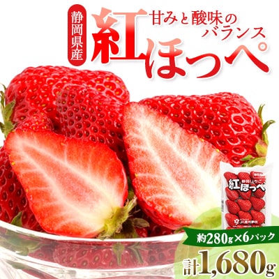 静岡県掛川市産　ミズノ農園の完熟いちご　『紅ほっぺ』約280g×6パック