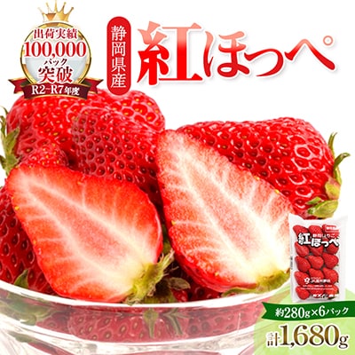 【2026年発送】静岡県掛川市産　ミズノ農園の完熟いちご　『紅ほっぺ』約280g×6パック