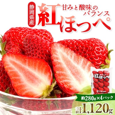 【2027年4月以降発送】静岡県掛川市産　ミズノ農園の完熟いちご　『紅ほっぺ』約280g×4パック