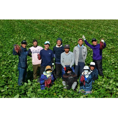 生まれも育ちも掛川産　プレミアム干し芋・陽菜子200g×3袋