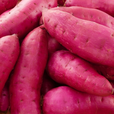 生まれも育ちも掛川産　こつぶな丸干し6袋セット　　