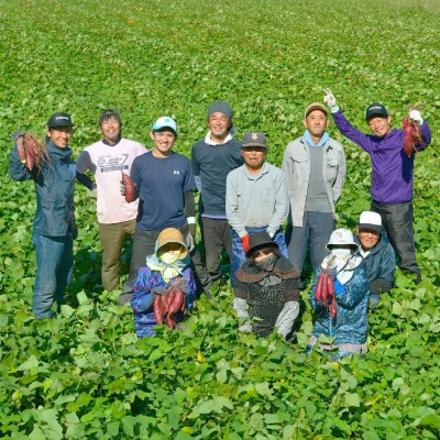 生まれも育ちも掛川産　こつぶな丸干し6袋セット　　