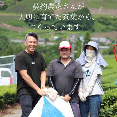 【計100包】 深蒸し一番茶使用 掛川産緑茶 ティーバッグ (3g×20包)×5袋