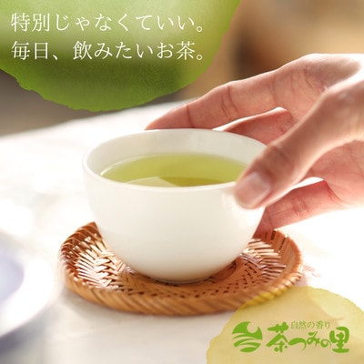【計100包】 深蒸し一番茶使用 掛川産緑茶 ティーバッグ (3g×20包)×5袋