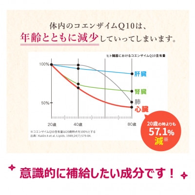 DHC コエンザイムQ10 包接体 30日分 4個セット(120日分)