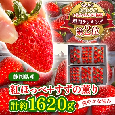 【2027年発送先行受付】静岡県産いちご「紅ほっぺ+すずの薫り」6P 約1.6kg(約270g×6)
