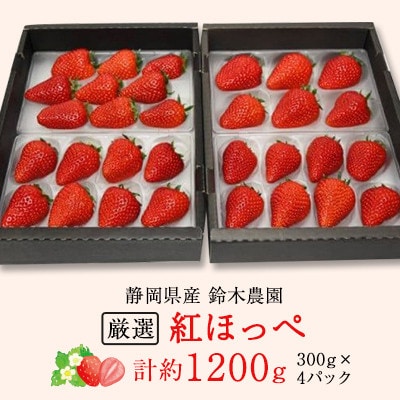 【発送月固定定期便】静岡県産いちご　厳選「紅ほっぺ」4パックセット(約1.2kg)全3回