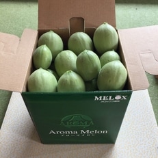 静岡県産高級マスクメロン「アローマメロン」の子メロン　約1.8kg
