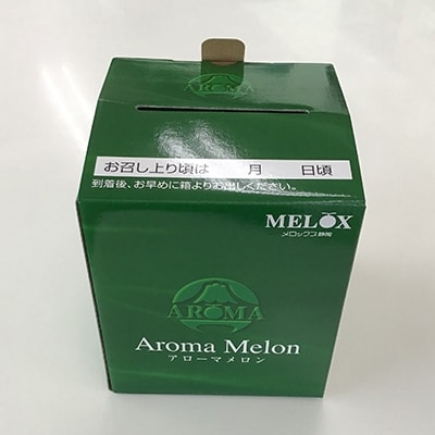 静岡県産　高級アローマメロン　白級  1玉約1.4kg×1玉