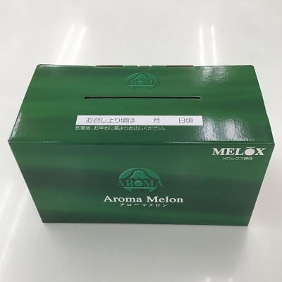 静岡県産　高級アローマメロン　山級 約1.4kg× 2玉