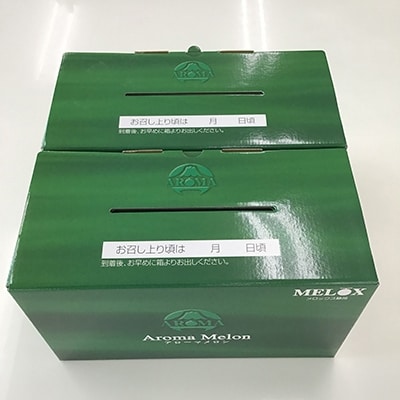 静岡県産　高級アローマメロン　山級約 1.4kg×4玉 ( 2玉×2箱 )