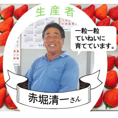 ＜1月下旬より順次発送予定＞静岡県産　紅ほっぺいちご　4トレイ　48粒～60粒