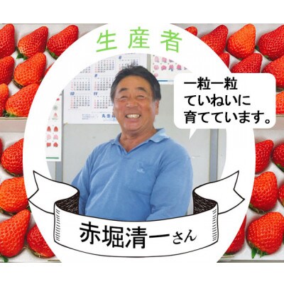 静岡県産　紅ほっぺいちご「デラックス」(300g×4パック)