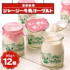 ジャージー牛乳「ヨーグルト」90g×12個セット　柴田牧場　