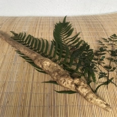 さのやの直植え自然薯 約750g