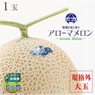 【毎月定期便】アローマメロン規格外大玉 1玉 全6回